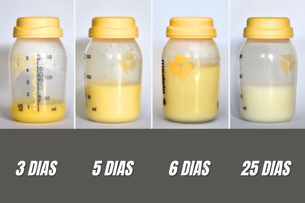 Colostro - Por Que é Chamado de Ouro Líquido Colostro - Por Que é Chamado de Ouro Líquido